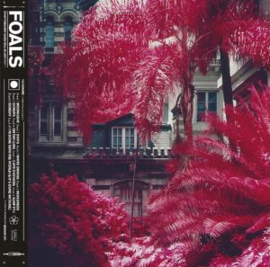 Foals