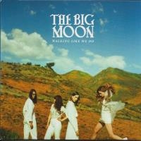 The Big Moon