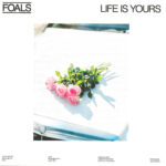 Foals